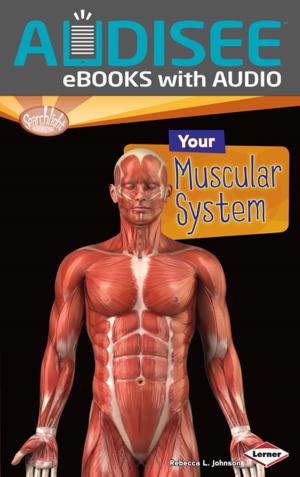 Cover of the book Your Muscular System by Lisa J. Amstutz