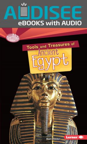 Cover of the book Tools and Treasures of Ancient Egypt by Kirstin Cronn-Mills, Alex Jackson Nelson