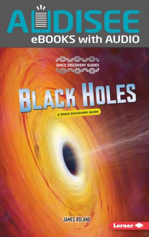 Cover of the book Black Holes by Shannon Knudsen