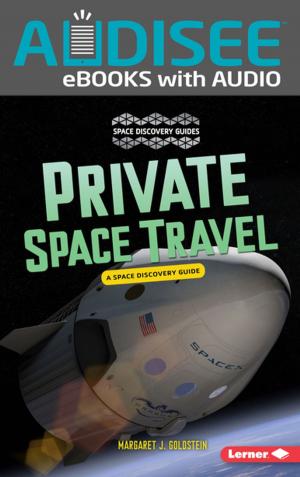 bigCover of the book Private Space Travel by 