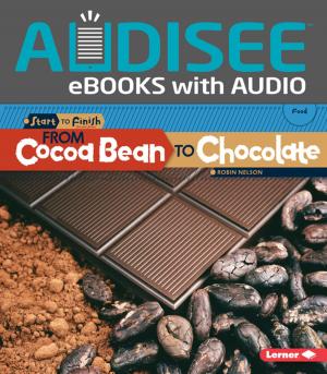 Cover of the book From Cocoa Bean to Chocolate by Kristin Sterling