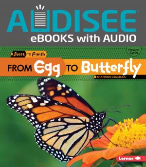 Cover of the book From Egg to Butterfly by Roseann Feldmann, Sally M. Walker