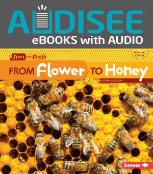 Cover of the book From Flower to Honey by Jeff Savage