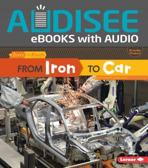 bigCover of the book From Iron to Car by 