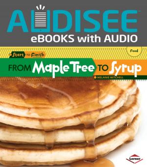 Cover of the book From Maple Tree to Syrup by Jennifer Boothroyd