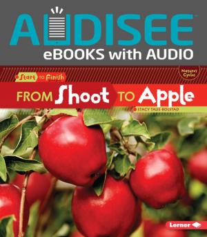 Cover of the book From Shoot to Apple by Arie Kaplan