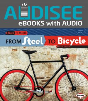 bigCover of the book From Steel to Bicycle by 