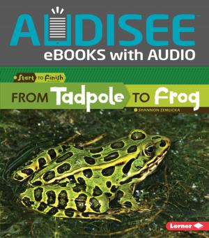 Cover of the book From Tadpole to Frog by Pam Bachorz