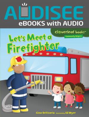 Cover of the book Let's Meet a Firefighter by Mari Schuh