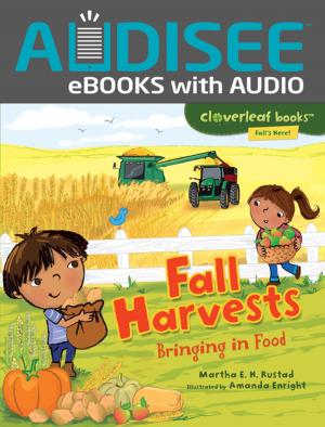 Cover of the book Fall Harvests by Gina Bellisario