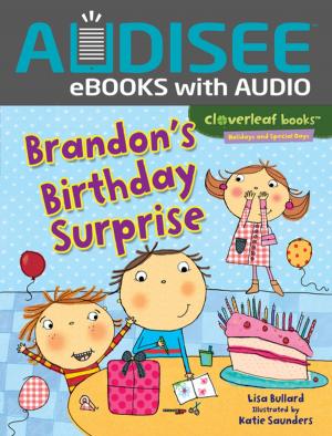 Cover of the book Brandon's Birthday Surprise by Anne Fine, Mary Hooper, Sophie McKenzie, Patrick Ness, Bali Rai, Jenny Valentine, Keith Gray, Editor, Andrew Smith, A. S. King, Melvin Burgess