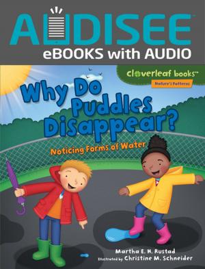 Cover of the book Why Do Puddles Disappear? by Karen Latchana Kenney
