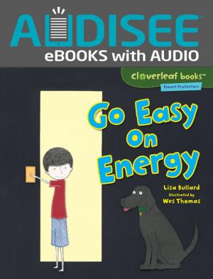 Cover of the book Go Easy on Energy by Laura Hamilton Waxman