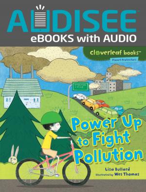 Cover of the book Power Up to Fight Pollution by Jennifer Boothroyd