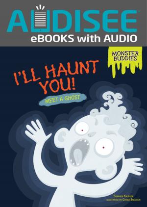 Cover of the book I'll Haunt You! by Jennifer S. Larson