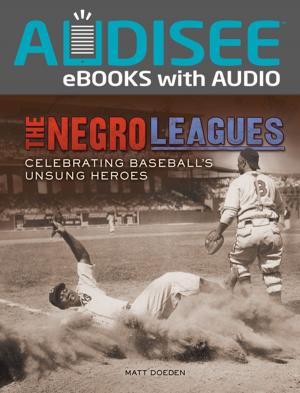 Cover of the book The Negro Leagues by Pamela F. Service