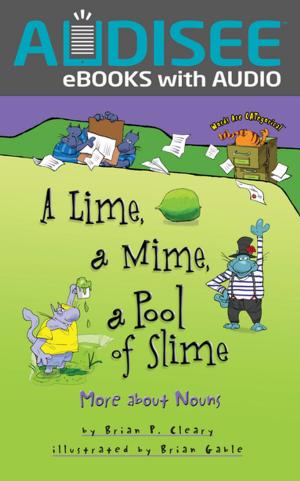 Cover of the book A Lime, a Mime, a Pool of Slime by Brian P. Cleary