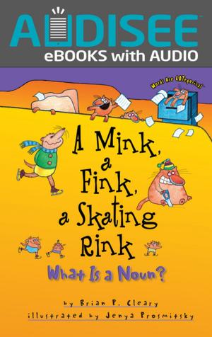 Book cover of A Mink, a Fink, a Skating Rink