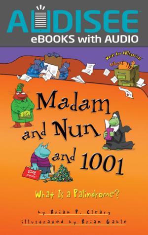 Cover of the book Madam and Nun and 1001 by Brian P. Cleary