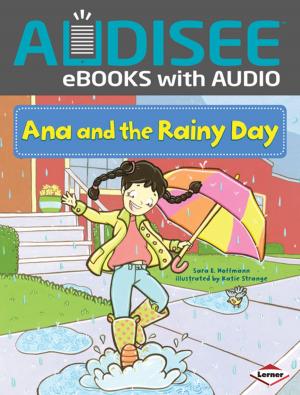 Cover of the book Ana and the Rainy Day by Eric Braun