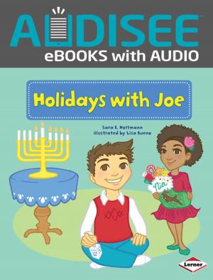 Book cover of Holidays with Joe