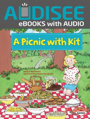 Book cover of A Picnic with Kit