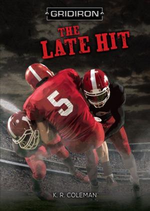 Book cover of The Late Hit