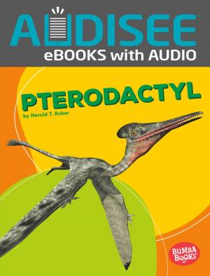 Cover of the book Pterodactyl by Cintia Roman-Garbelotto