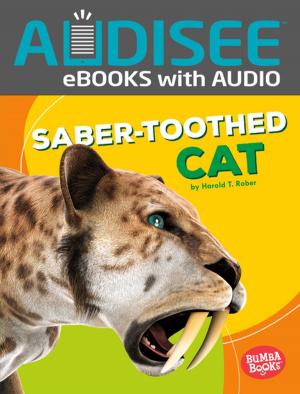 Book cover of Saber-Toothed Cat