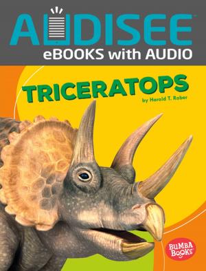 Cover of the book Triceratops by Lisa Bullard
