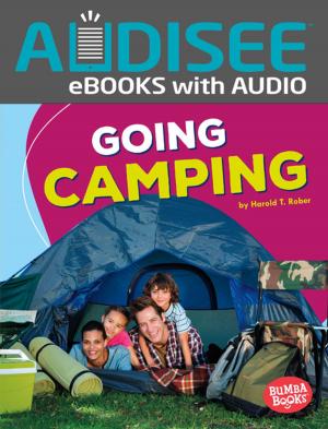 Book cover of Going Camping
