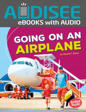 Cover of the book Going on an Airplane by Chris Monroe