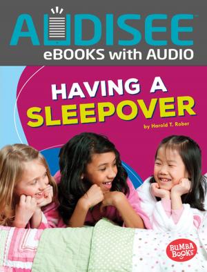 Cover of the book Having a Sleepover by Patrick Jones