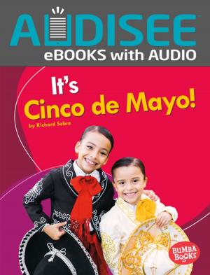 Book cover of It's Cinco de Mayo!
