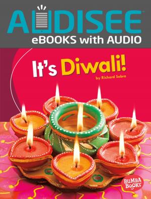 Cover of the book It's Diwali! by Heather E. Schwartz