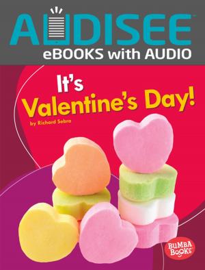 Cover of the book It's Valentine's Day! by Raelyn Drake