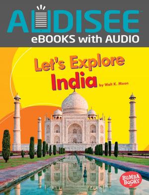 Cover of the book Let's Explore India by Arie Kaplan