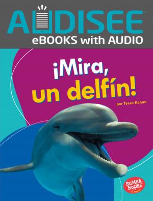 Book cover of ¡Mira, un delfín! (Look, a Dolphin!)