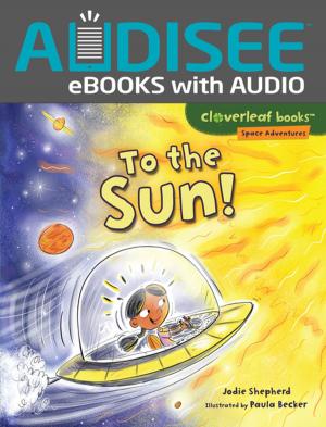 Cover of the book To the Sun! by Jon M. Fishman