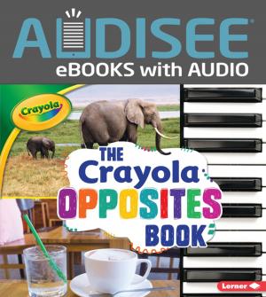 Book cover of The Crayola ® Opposites Book