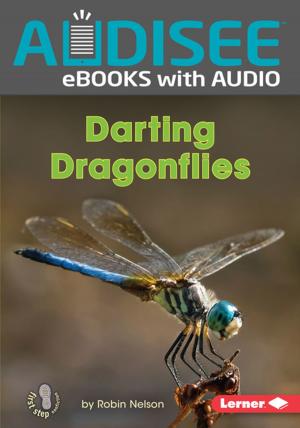 Cover of the book Darting Dragonflies by Jamie Korngold