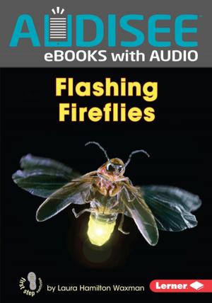 Book cover of Flashing Fireflies