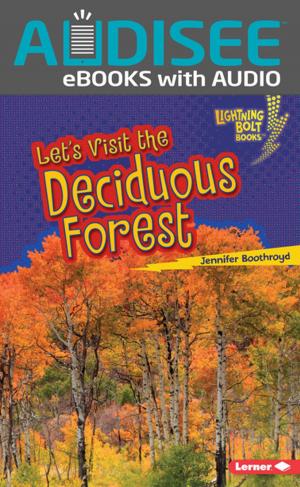 Cover of the book Let's Visit the Deciduous Forest by Terry Farish
