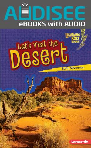 Cover of the book Let's Visit the Desert by Laura Aron Milhander