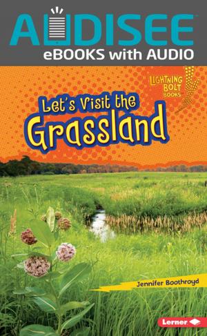 Cover of the book Let's Visit the Grassland by Steven G Carley