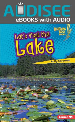 Cover of the book Let's Visit the Lake by Kiersi Burkhart, Amber J. Keyser