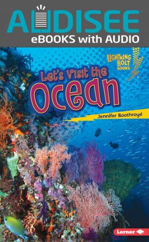 Cover of the book Let's Visit the Ocean by Kiersi Burkhart, Amber J. Keyser