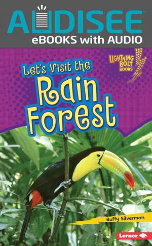Cover of the book Let's Visit the Rain Forest by Candice Ransom