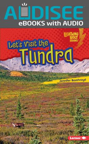 Cover of the book Let's Visit the Tundra by Candice Ransom