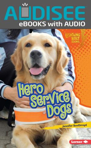 Cover of the book Hero Service Dogs by Candice Ransom